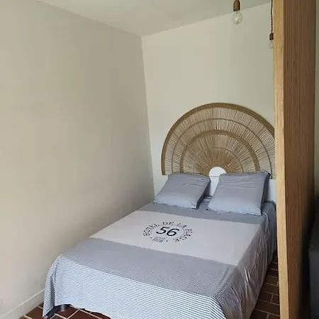 3 Mn De La -proche Sablettes Apartment *